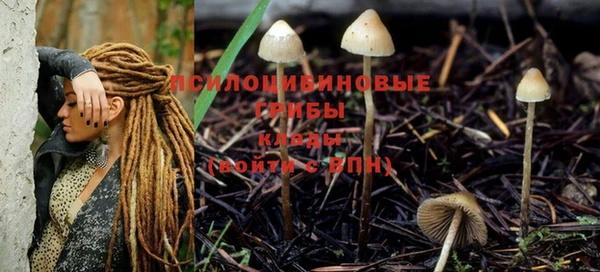 каннабис Волоколамск